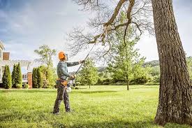 Best Commercial Tree Services  in Allouez, WI
