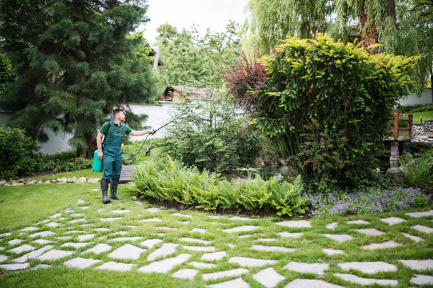 Best Tree Removal  in Allouez, WI