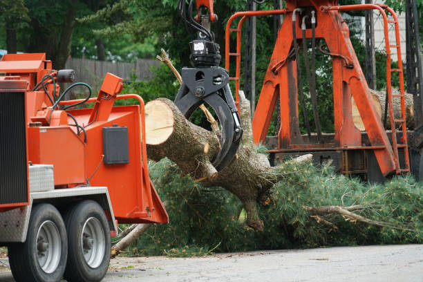 Mulching Services in Allouez, WI